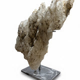 Dragon's Tooth Selenite