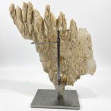 Dragon's Tooth Selenite