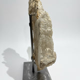 Dragon's Tooth Selenite
