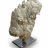 Dragon's Tooth Selenite