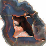 Red Fox Agate