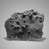 Graphite Shists with Pyrope Garnets