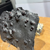 Graphite Shists with Pyrope Garnets