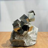 Pyrite on Matrix
