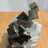 Pyrite on Matrix
