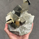Pyrite on Matrix