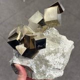 Pyrite on Matrix
