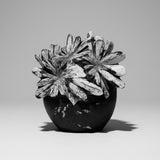 Chrysanthemum Stone