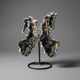 Petrified Coral