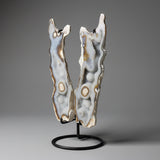 Petrified Coral