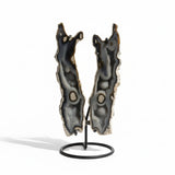Petrified Coral