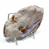 Opalized Belemnite Fossil