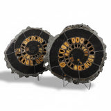 Russian Ammonite Pair