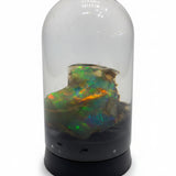 Virgin Valley Opal