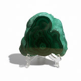 Malachite Slice (Thick)