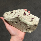 Pyrope Garnet on Matrix