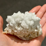 Goosecreekite