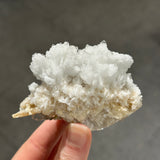 Goosecreekite
