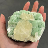 Datolite on Prehnite