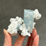 Aquamarine with Albite and Black Tourmaline