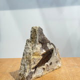 Diplomystus Fossil - 5 inch