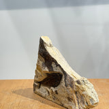 Diplomystus Fossil - 5 inch