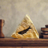 Knightia Fossil - 3.75 inch