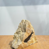 Knightia Fossil - 3.75 inch