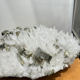 Quartz with Pyrite Cubes