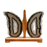 Agate Slices Butterfly