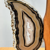 Agate Slices Butterfly