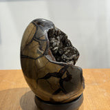 Dragon’s Egg (Septarian Nodule)